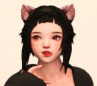 nyarin XMA