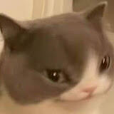 Amai Kofi