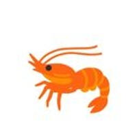 SweetShrimplicity XMA