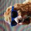 remipup Kofi