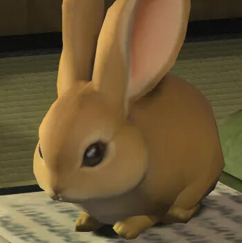 venbun Helio
